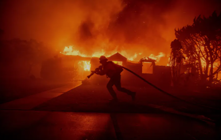 AS Tak Berdaya 'Perang' Lawan Karhutla: 5 Tewas, Seribu Bangunan Terbakar
